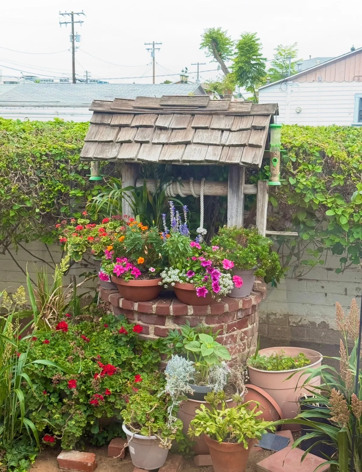Garden courtyard at San Diego Bay Dental